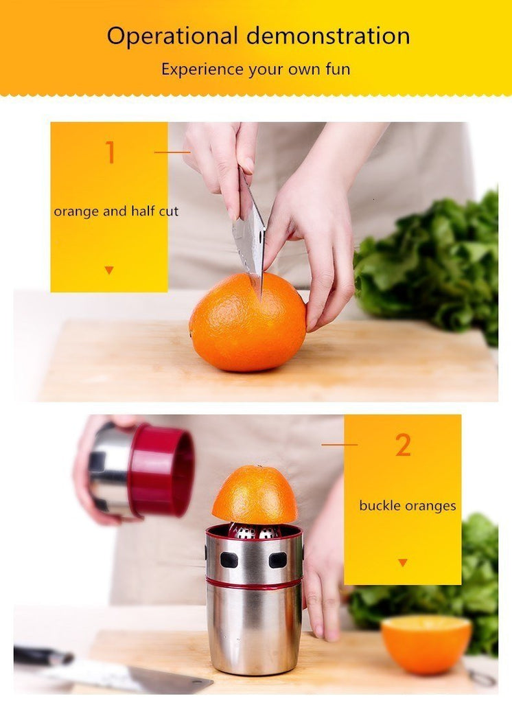 Stainless Steel Portable Juicer